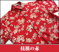 枝桜の赤